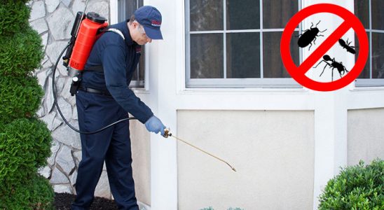 Taraklı Haşere İlaçlama böcek ilaçlama ve haşere kontrolü — ilaclama-tr.com